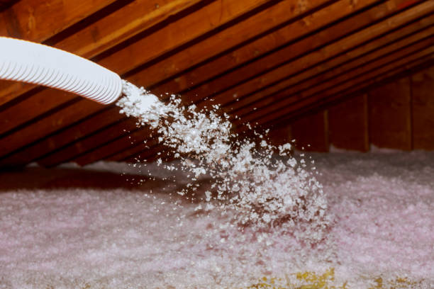 Best Spray Foam Insulation  in Bouse, AZ